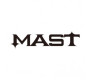 Mast