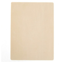 Artificial skin for permanent makeup A4 (Beige)