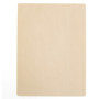 Штучна шкіра для перманентного макіяжу А4 (Beige)