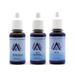 Пігменти для татуажу Aqua